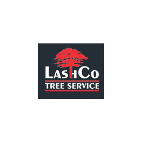 Logo - Lashco Tree
