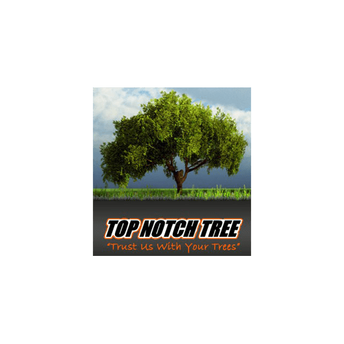 Logo - Top Notch Tree